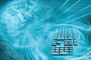 印度互联网 数据自主权与美国科技巨头的博弈场